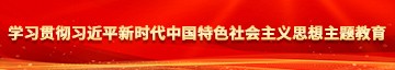 男人插女人网址学习贯彻习近平新时代中国特色社会主义思想主题教育